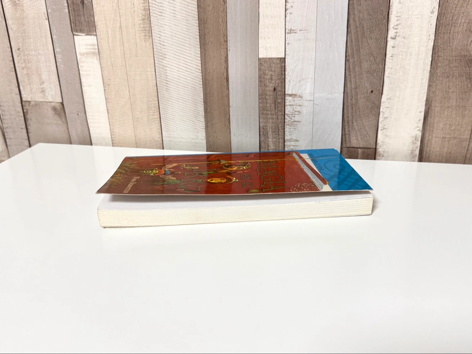 Magic Book in the Book – photo 6